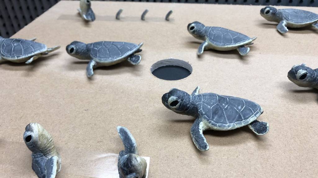 3D printed Sea Turtles Nest - London Zoo 8