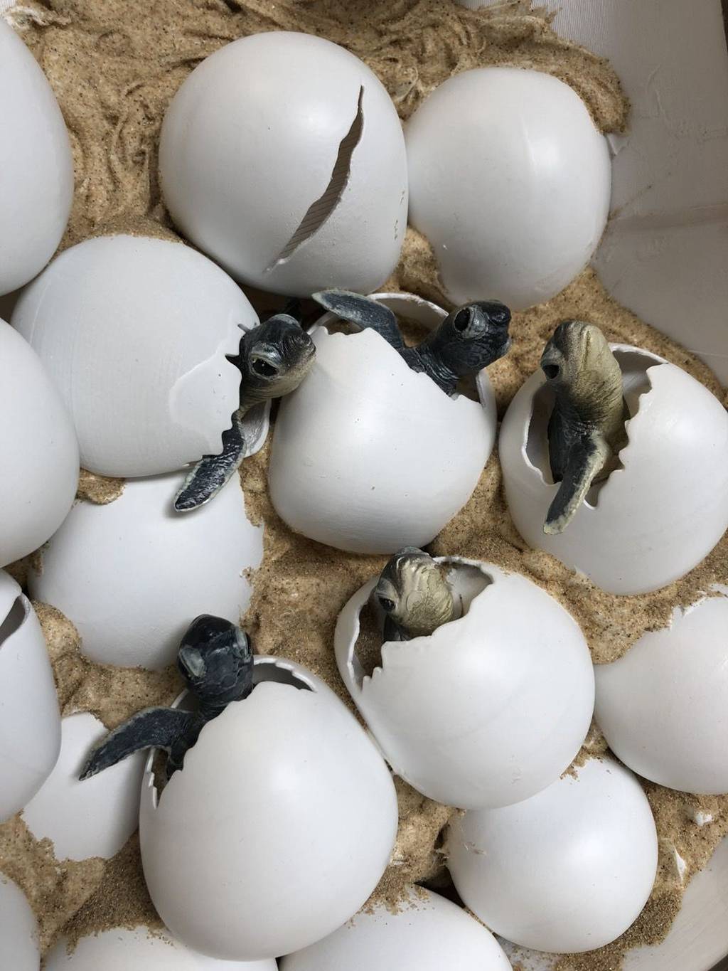 3D printed Sea Turtles Nest - London Zoo 7