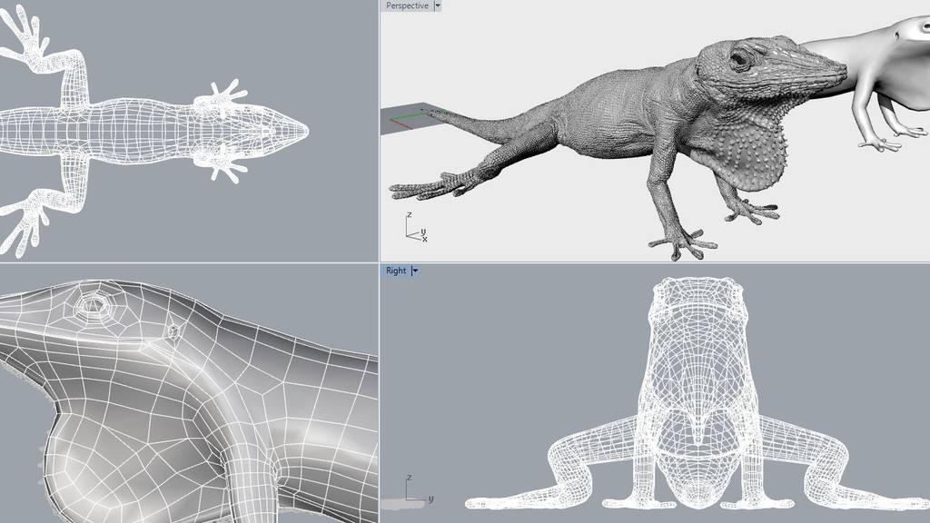 3D printed Carolina Anole Lizard - ZSL London 5