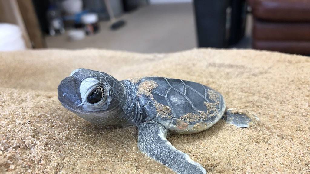 3D printed Sea Turtles Nest - London Zoo