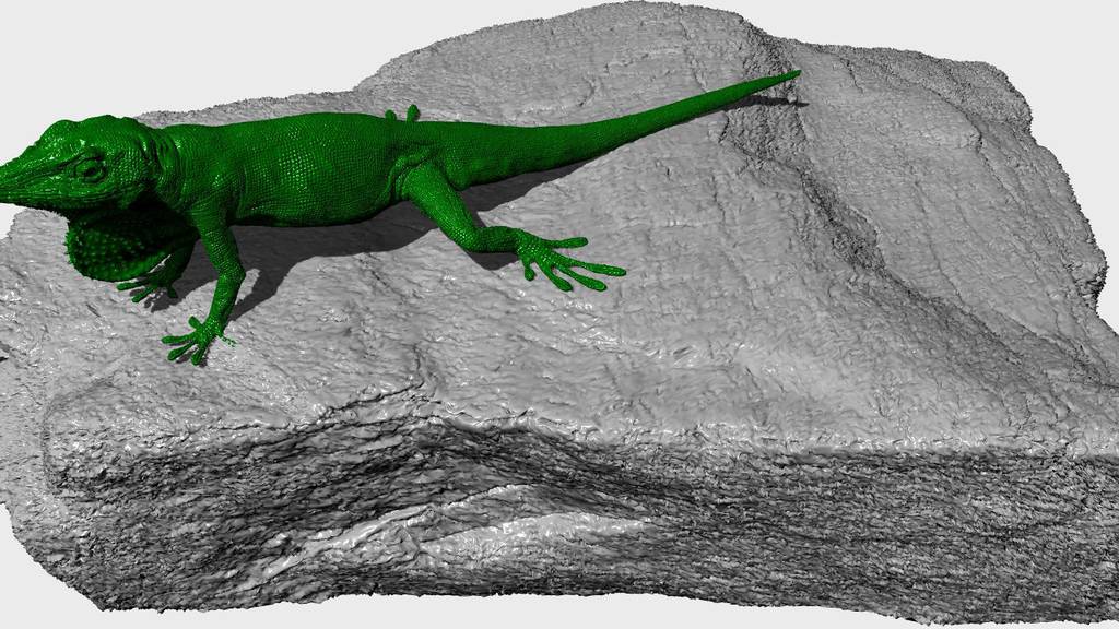 3D printed Carolina Anole Lizard - ZSL London 12