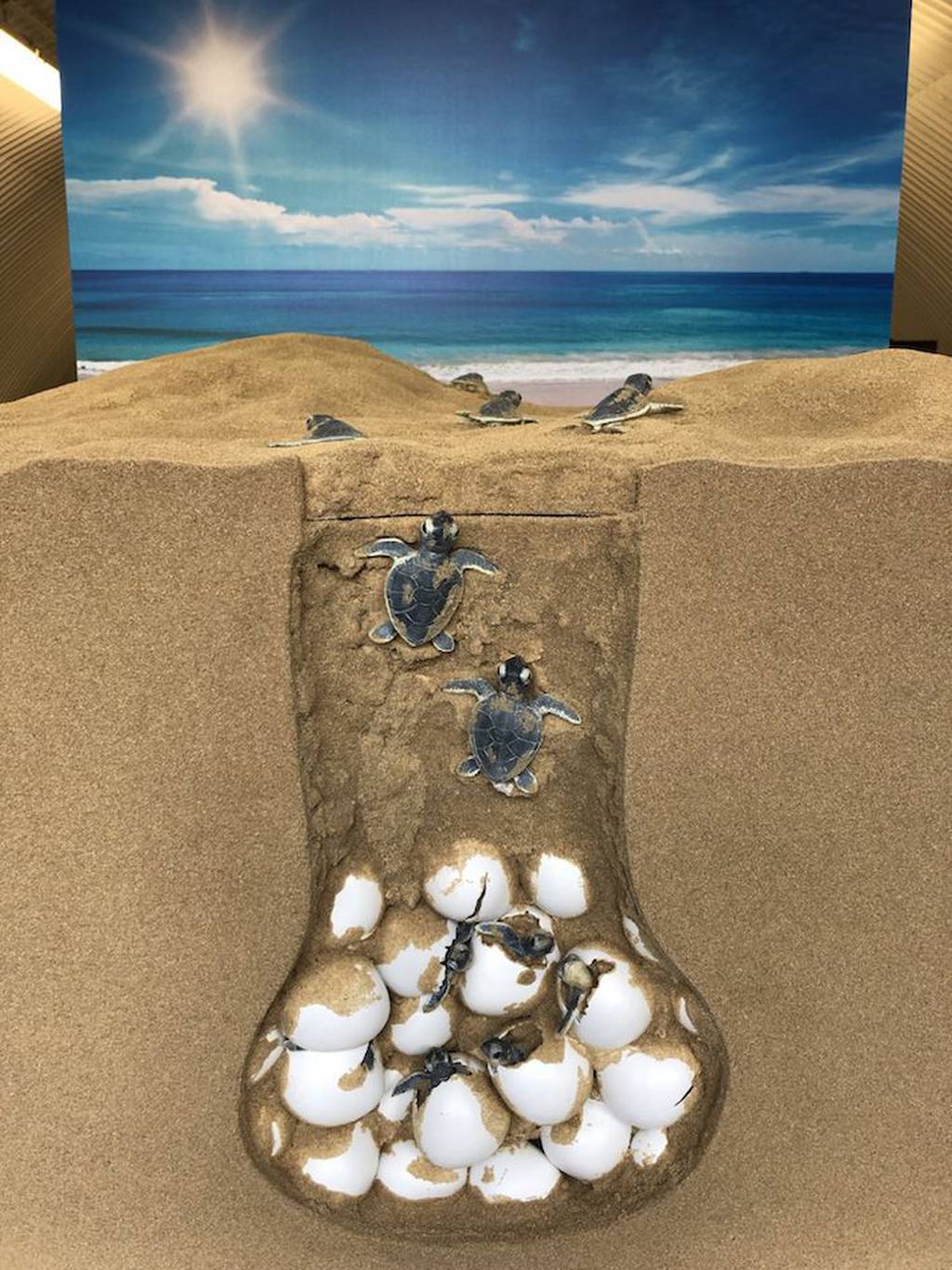 3D printed Sea Turtles Nest - London Zoo 3