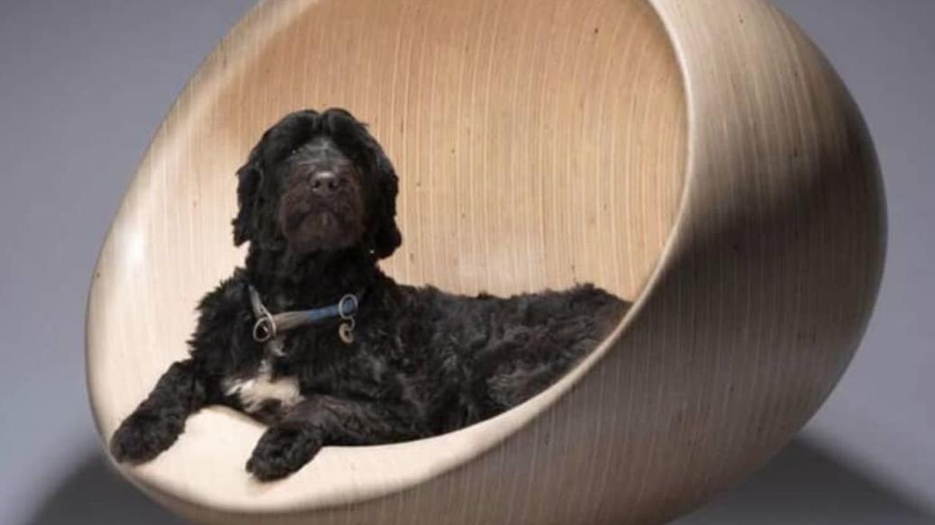 Zaha Hadid "Cloud" Kennel